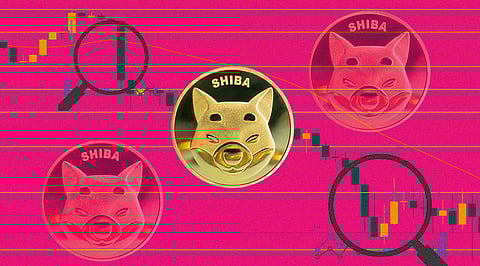 Almost 81% of Shiba Inu Investors are at Loss, Indicates Analysis
