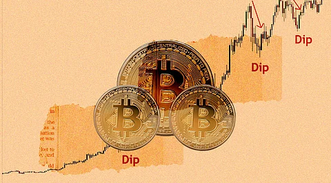 Bitcoin Adds 13k ‘Wholecoiners’ Last Week! Smart Investors were Buying the Dip