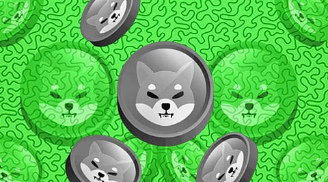As Bitgert (BRISE) Prices Surges, Dogecoin (DOGE) and Shiba Inu (SHIB) Will Stabilize This Week