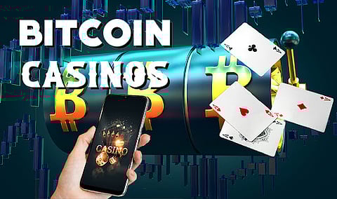 Best Bitcoin Casino Sites Ranked by Crypto Casino Provably Fair Games, BTC Bonuses & More