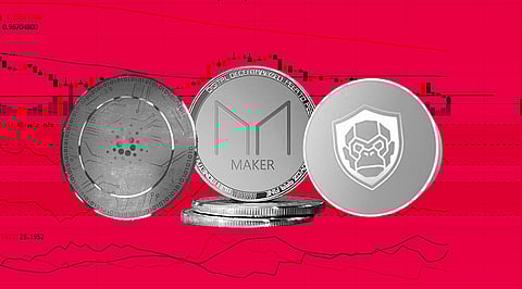 RoboApe (RBA), Maker (MKR), and Cardano (ADA) All Impressing as the Crypto Market Rebounds from the Massive Dip.