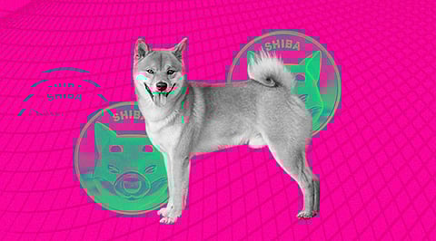 Shiba Inu Investors to Sell Off 1 Trillion SHIB Soon over Trust Issues