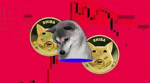 Shiba Inu Could See a 20% Fall this Week, Price Analysis Suggests