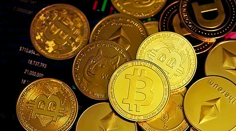 Should I Invest in Crypto? How Shiba Inu (SHIB), Floki Inu (FLOKI) and Mehracki (MKI) Compare