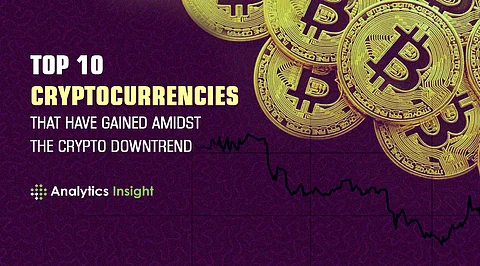 Top 10 Cryptocurrencies that have Gained Amidst the Crypto Downtrend