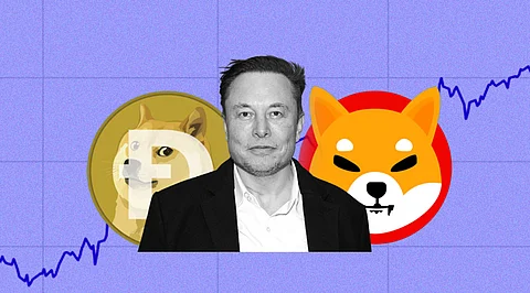What is Elon’s Role in Recent Shiba Inu and Dogecoin Price Surge?