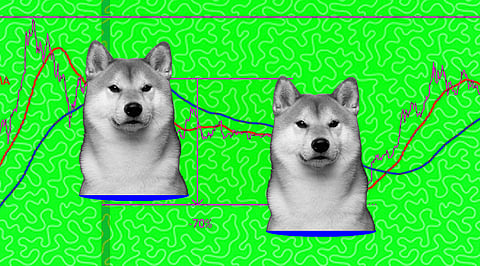 Why Shiba Inu is the Best Bet in 2022 Despite the Looming Bear Trend?