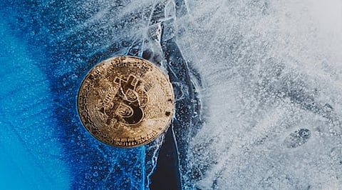 Crypto Crash June 2022: 3 Cryptos To Buy For Cheap
