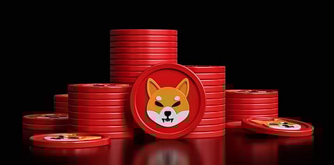 Shiba Inu Selling Pressure Rises As More Whales Join Bitgert (BRISE)