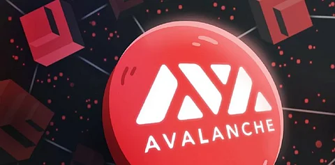 Is Avalanche (AVAX) Losing The War Against Bitgert (BRISE)?
