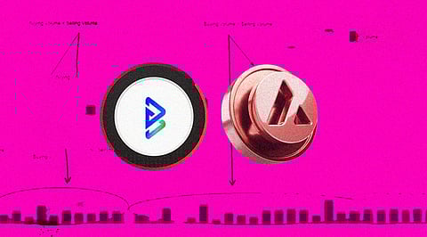 You Could Be Making More Profits On Bitgert Today Than At Avalanche