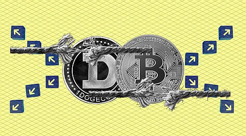 Dogecoin and Bitcoin gains are a facade, Analyst call it a ‘risky business’