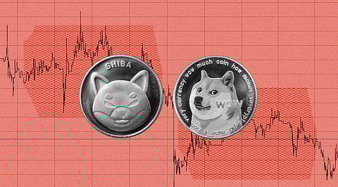 Dogecoin and Shiba Inu are Competing towards a “Long Term Outbreak”