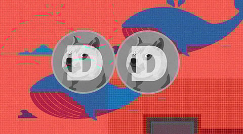 Dogecoin Gains Popularity Among Crypto Whales! Time to Invest?