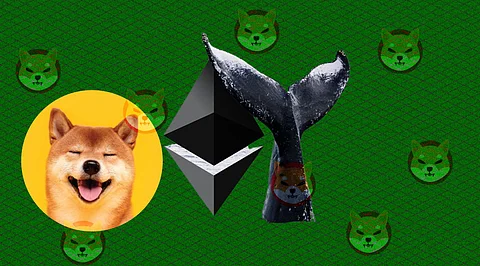 Ethereum Whales Buy a Whopping US$3M Worth of Shiba Inu! A Rally on the Radar?