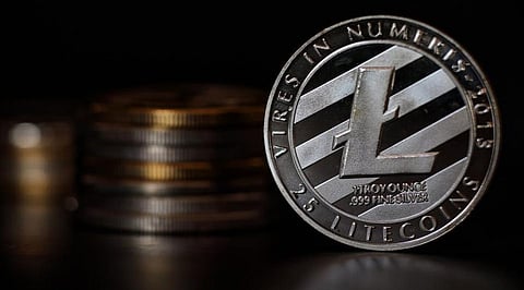Litecoin (LTC) Holders Should Know Why Bitgert (BRISE) Is A Perfect Option