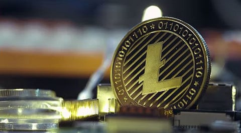 Top Three Coins For 2022 – Mushe (XMU), Shiba Inu (SHIB) & Litecoin (LTC)