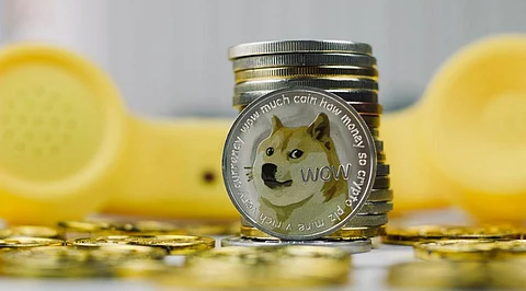 Not Long Before Shiba Inu, Dogecoin or EverGrow Is a Top 5 Crypto