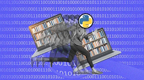 Python’s Usability and Rust’s Speed at Your Service, thanks to Libraries