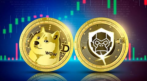 RoboApe (RBA) and Dogecoin (DOGE) – Will These Meme Coins Dominate The Market In Q4?