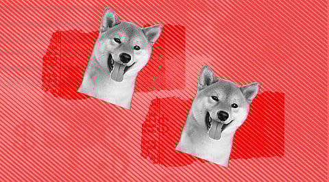 Shiba Inu Record 30% Yearly Spike While Bitcoin is Down 42%