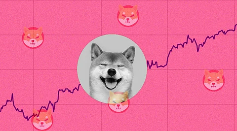 Shiba Inu Steals the Spotlight from Bitcoin! Proves Its Worth