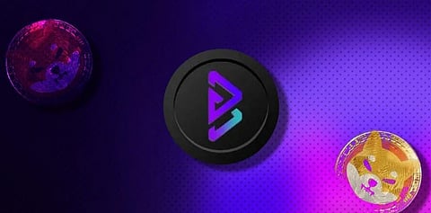 Bitgert (BRISE) Price Prediction Exposes Dogecoin and Shiba Inu To Massive Selloff