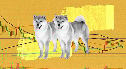 Shiba Inu is All Set to Reach US$0.000017 this July! But Won’t Break Past That