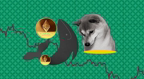 Shiba Inu is Abandoned! Ethereum Whales are back to ETH as the Price Surges