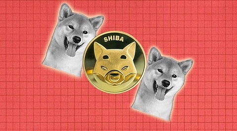 Shiba Inu to Shed its Memecoin Status! Will become the Main Crypto
