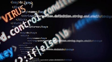 Take a Look at What Career in Python Looks Like