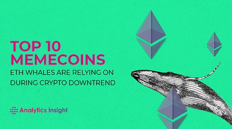 Top 10 Memecoins ETH Whales are relying on During Crypto Downtrend