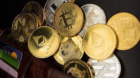 Should You Add Gnox (GNOX), Shiba Inu (SHIB) and Dogecoin (DOGE) to Your Portfolio in July?