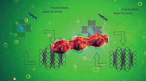 Artificial Intelligence Helps Smart Microrobots to Learn Swimming & Navigational Skills