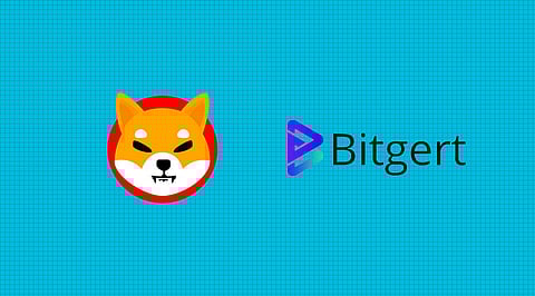 This is Why Shiba Inu Might Never Catch Up with Bitgert Price Growth