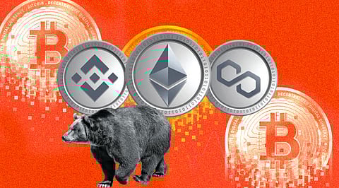 Best Crypto to Invest In the Bear Market