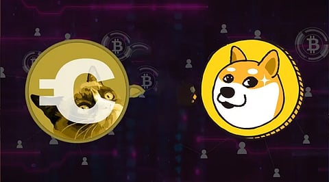 The Cats and Dogs Who Give to Charity: Cryptocurrencies Shiba Inu, Dogecoin, and Big Eyes Coin