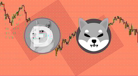 Dogecoin and Shiba Inu at the Verge of Losing their Top Crypto Position