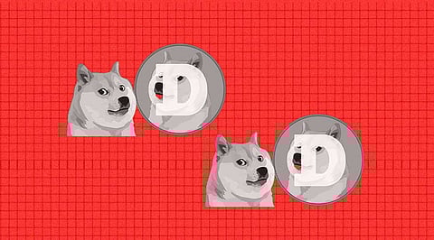 Dogecoin free Ridded Dogechain Rally and Later Calls it a Knockoff