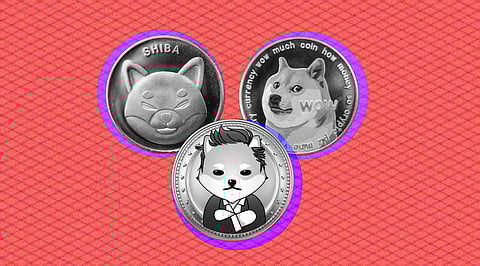 Dogelon (ELON) is after SHIB and DOGE! Can It be the Next Big Meme Coin?