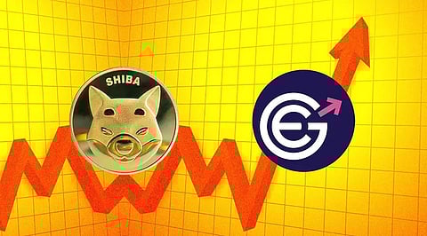 EverGrow burns 4,085x MORE tokens than Shiba Inu in November