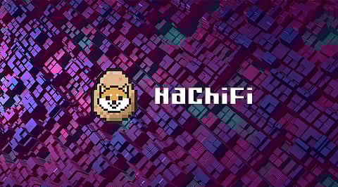Here’s How HachiFi and Bitcoin Can Free You From The Bear Market In 2022!
