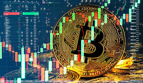 Here’s How You Could Generate Your First Million Dollars with Cardano, Monero, and Dogeliens
