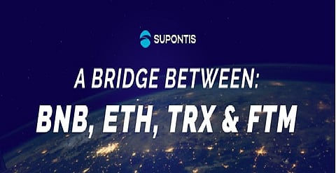 Multichain Cryptos For Multifold Profits: Invest in Supontis Token and Cardano