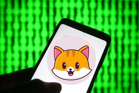 Catecoin Early Days Adoption Is Matching Shiba Inu?