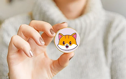 Convert your Safemoon into Catecoin for 100x profit