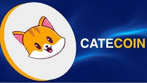 Elon Musk’s Dogecoin Find New Competition with Catecoin