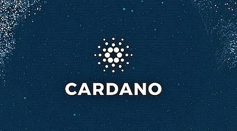 Is Crypto A Good Investment? – It is with Big Eyes Coin, Avalanche And Cardano