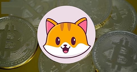 Why Catecoin Can Become The Next Shiba Inu