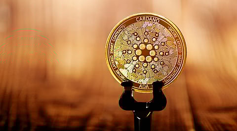 Go Through Crypto Winter Unharmed With Privatixy Protocol (PXP), Cardano (ADA), and NEAR Protocol (NEAR)